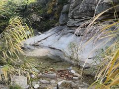 -无染寺
