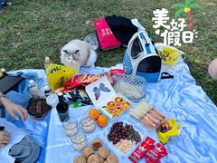 -番禺大夫山森林公园