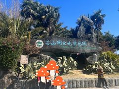 -苍山感通索道