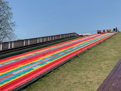 -黄海国家森林公园