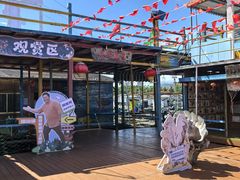 -蓝湾碧波·老字号·疍家非遗海上餐厅