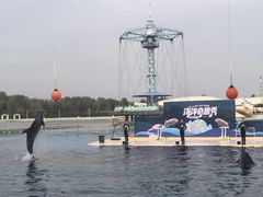 -秦皇岛乐岛海洋王国