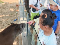 -西霞口神雕山野生动物世界