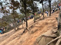 -灵岩山风景区