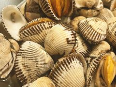 白灼毛蚬-老虎滩大连海鲜烧烤(建邺云锦路总店)