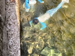 -宁波五龙潭景区