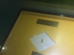 -上海昆虫博物馆