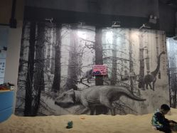 -恐龙探索乐园(磁器口店)