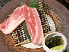 -汉城馆·烤肉火锅餐厅·韩国烤肉(河北云瑧世纪大饭店)