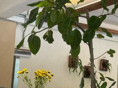 -邊渡咖啡