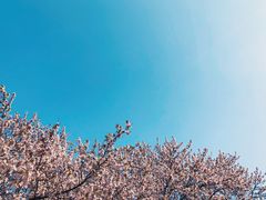 -山东师范大学(千佛山校区)