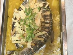 -陈生记黑鱼馆·20年活鱼现杀(宁波鼓楼店)