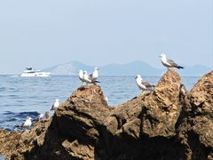 -棒棰岛宾馆景区