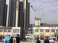 -澳门环岛游湾仔码头