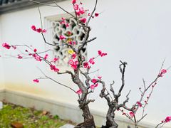 -苏州上方山国家森林公园