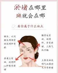 点击看大图 -玛莲朵·海菲秀冰珀科