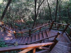 -大岭沟猕猴桃谷风景区