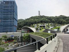 -半升洞码头