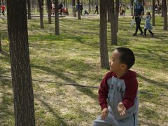 -大兴滨河森林公园