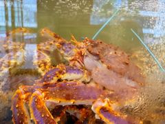 -新丁香海鲜酒店(银海商贸城店)
