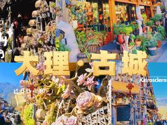 -大理古城