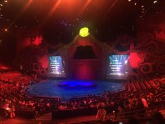 -珠海横琴长隆《卡卡虎奇遇记》