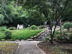 -三江森林温泉度假区