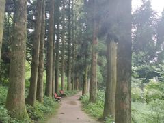 -庐山风景区花径公园