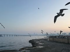 -星海广场