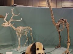 -国家自然博物馆