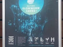 -怀托摩萤火虫洞