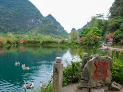 -靖西鹅泉风景区