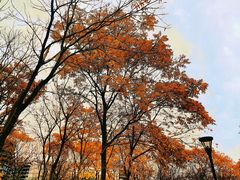 -上海山野camping·户外天幕烧烤·团建拓展营地