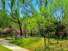 -长白岛森林公园