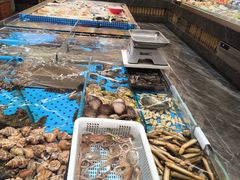 -大连湾旭日·家宴·海肠捞饭(马栏广场店)