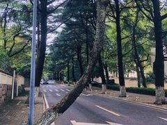 -八大关景区