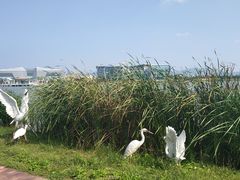 -琅岐红光湖公园