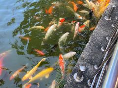 -珠海圆明新园