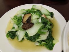 -余杨鸭鸭餐厅