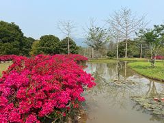 -中国科学院西双版纳热带植物园