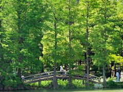 -东湖落雁景区