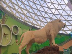 -陕西自然博物馆