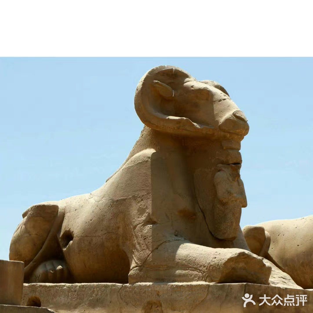 如果你看到旅行团的行程包括埃及的