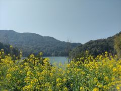 -广州市石门国家森林公园