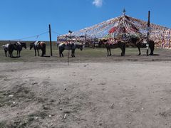 -橡皮山