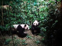 -昆明动物博物馆