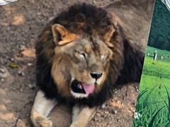 -西霞口神雕山野生动物世界