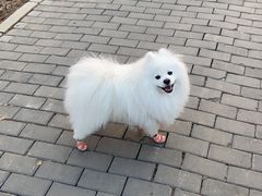 -乖乖乐动物医院(小汤山分院)