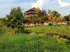 -东台西溪天仙缘景区