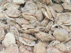 -和源祥·日照菜扛把子(万平口一店)